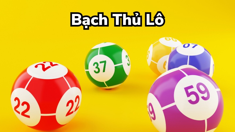 Thế nào là bạch thủ lô?